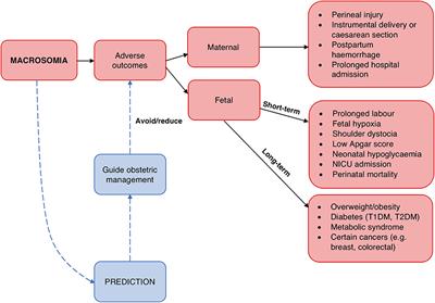 ¿Qué es una diabetes a1c normal?